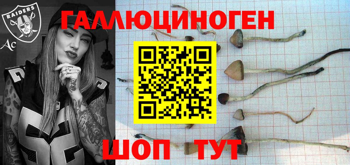 Псилоцибиновые грибы мицелий Сальск