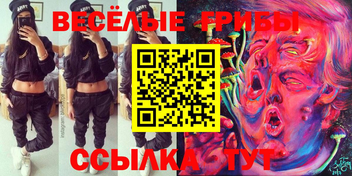 Сальск  Псилоцибиновые грибы мицелий  Вход с VPN 